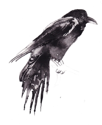 Crow